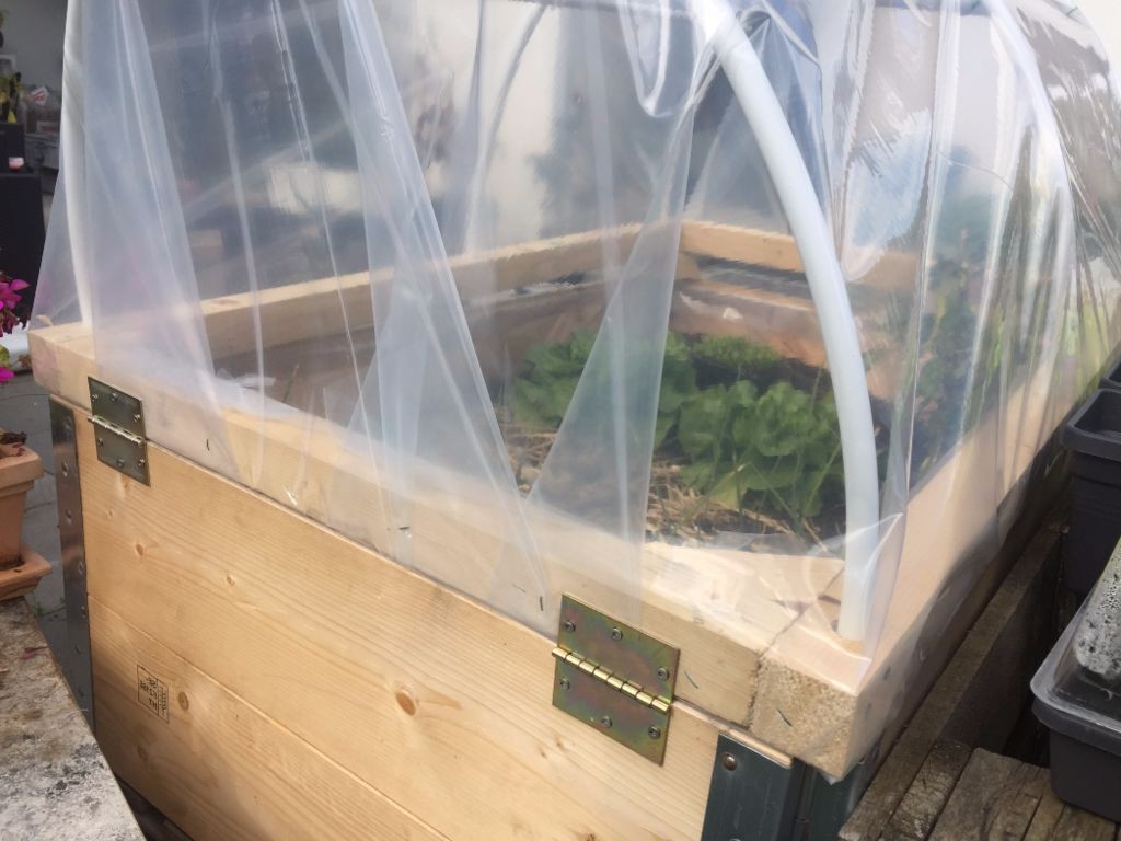 Небольшая теплица - фото 7