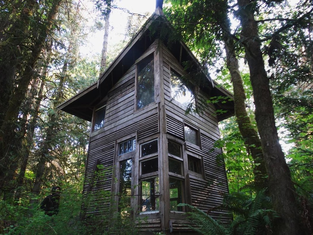 Дом с односкатной крышей - фото 8