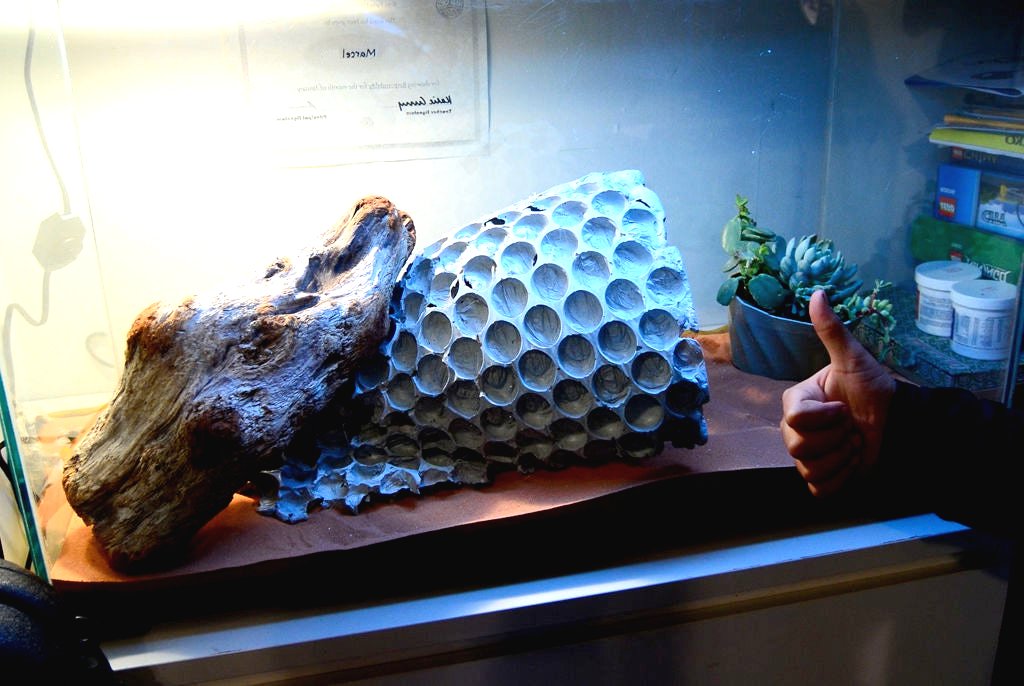 Как сделать пещеру своими руками в аквариум или террариум? - фото 17