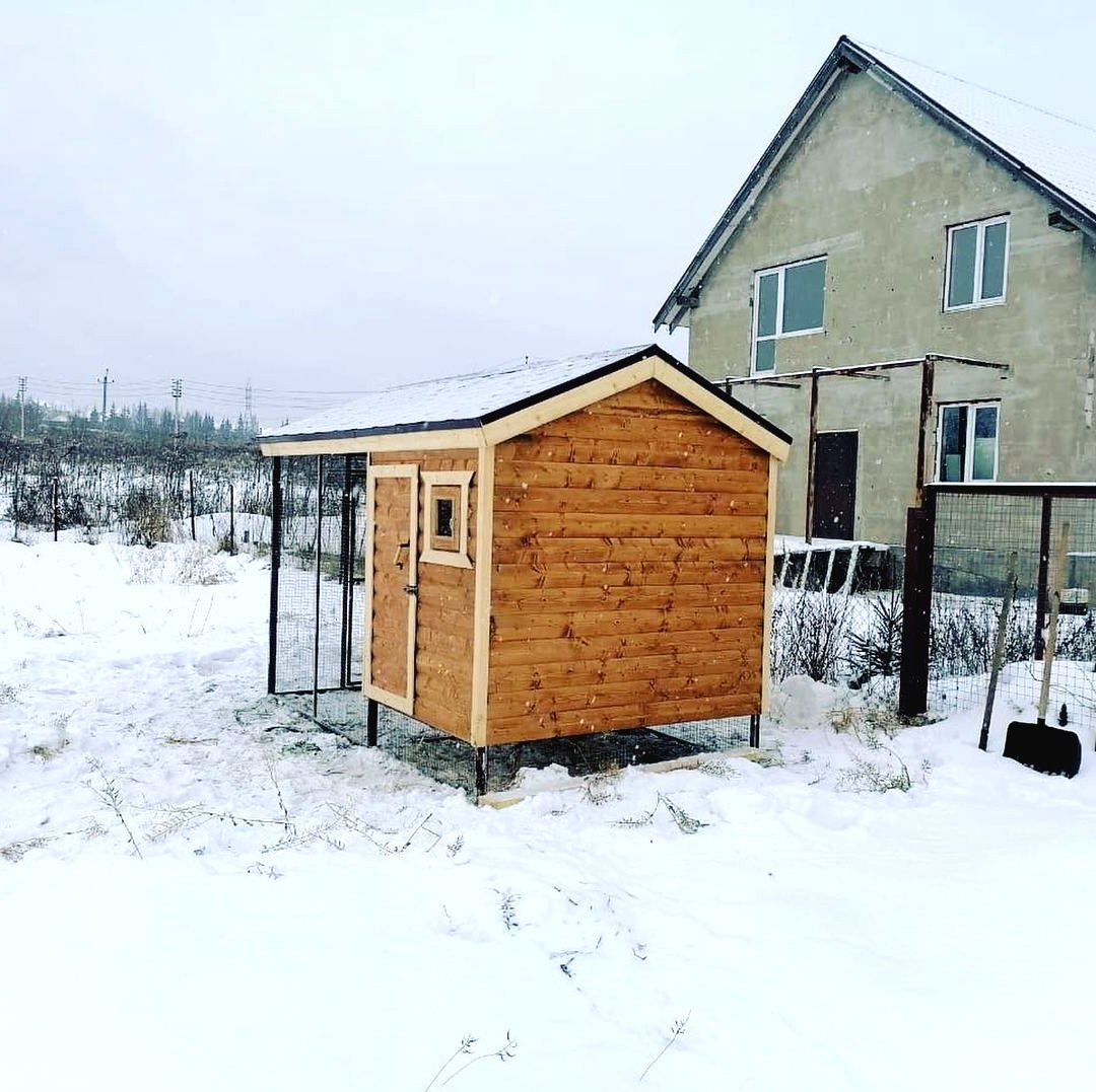 Курятник с выгулом - фото 5