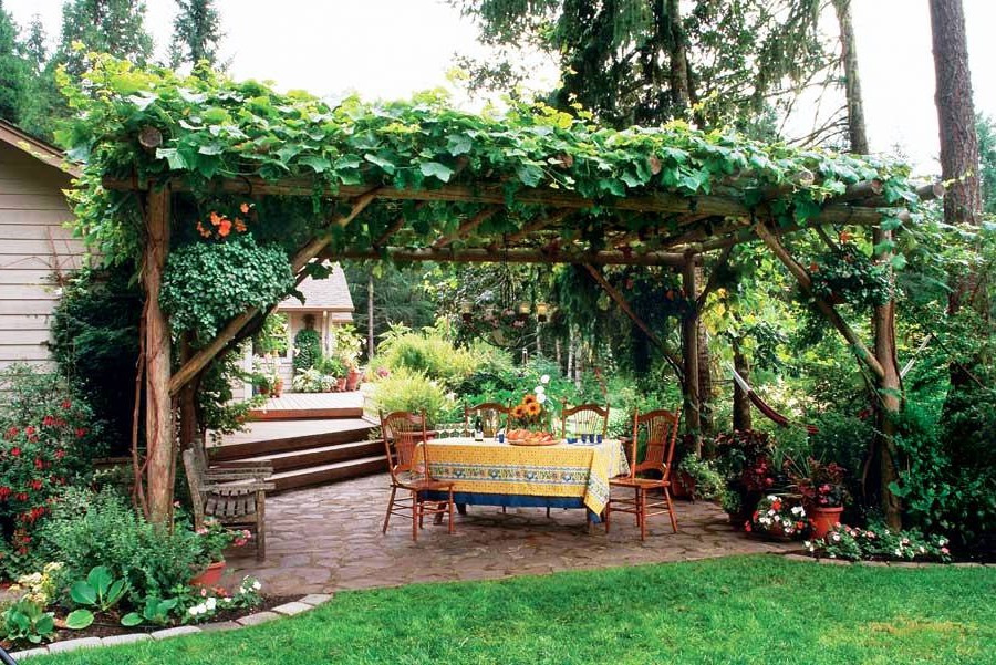 Уголок  "дикого" сада - фото 2