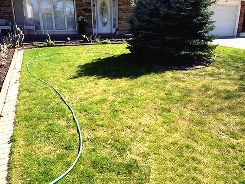 Улучшаем участок перед домом  - фото 3