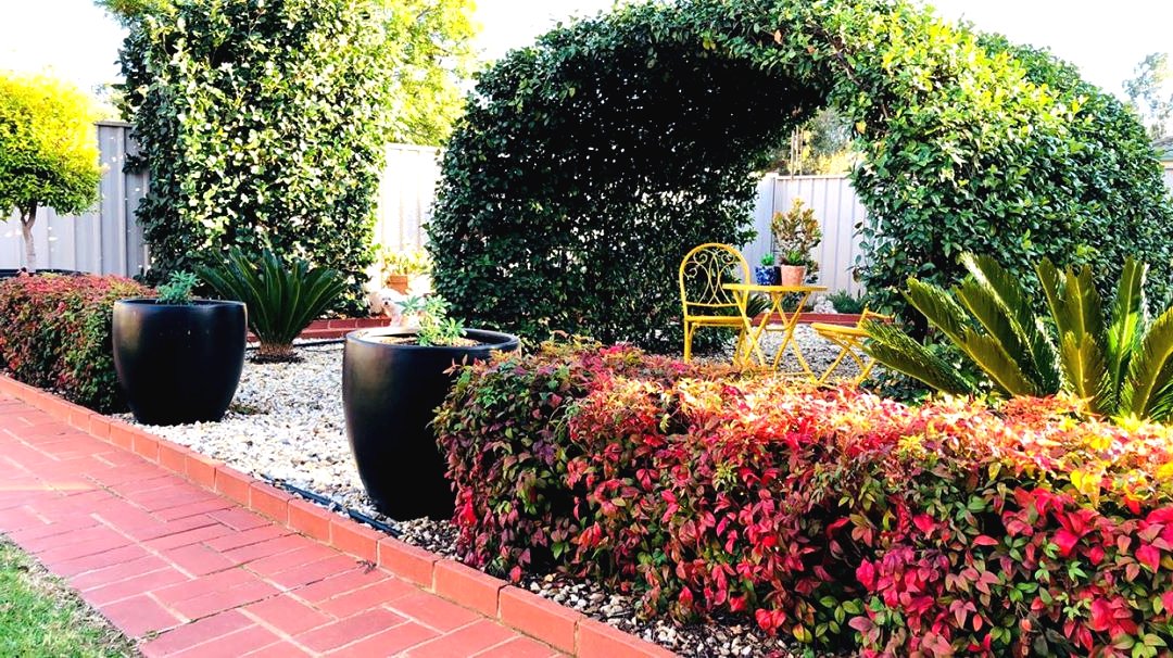 Беседка из вьющихся растений - фото 5