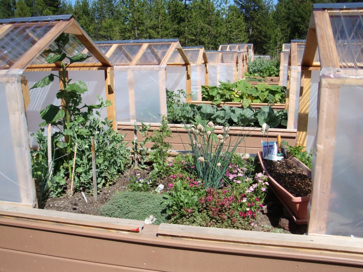 Мини-теплица - фото 3