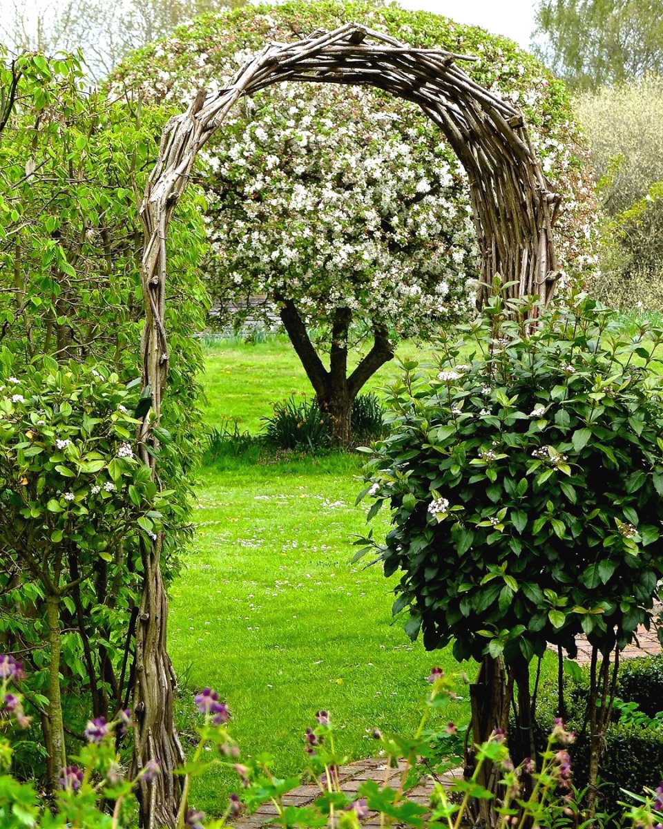 Красивые арки для сада - фото