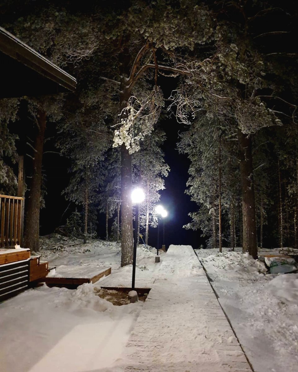 Сауна из профилированного бруса - фото 4