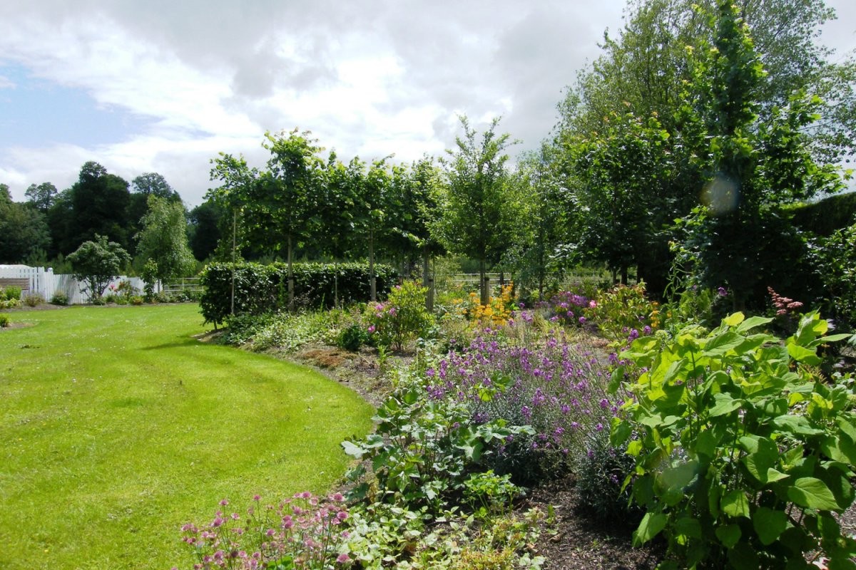 Сельский сад - фото 6