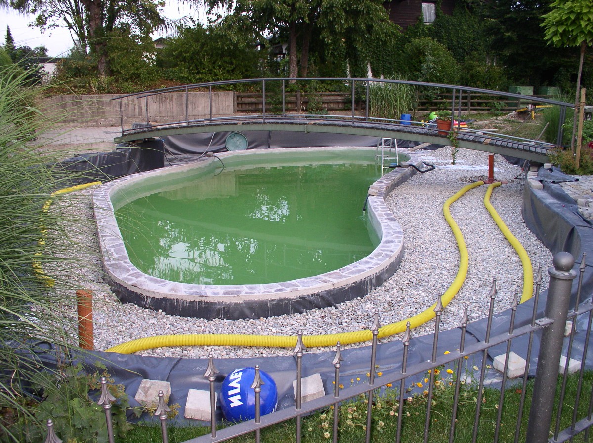 Пруд с мостом через него - фото 11