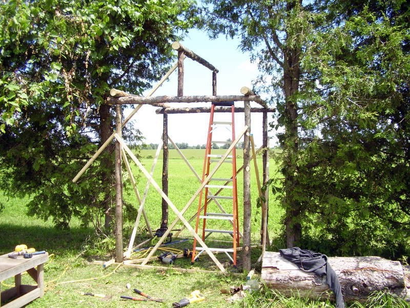 Беседка из стволов деревьев - фото 3