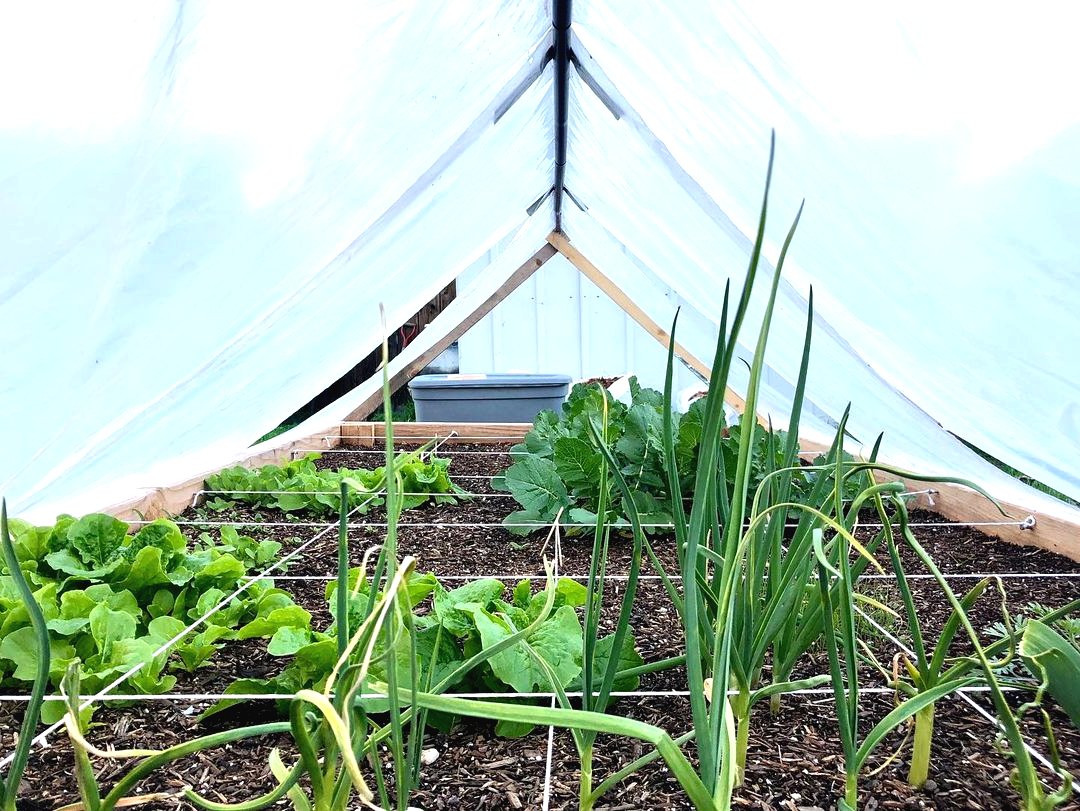 Грядки своими руками - фото 9