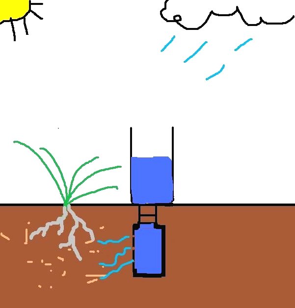 Самый простой способ полива растений - фото 2