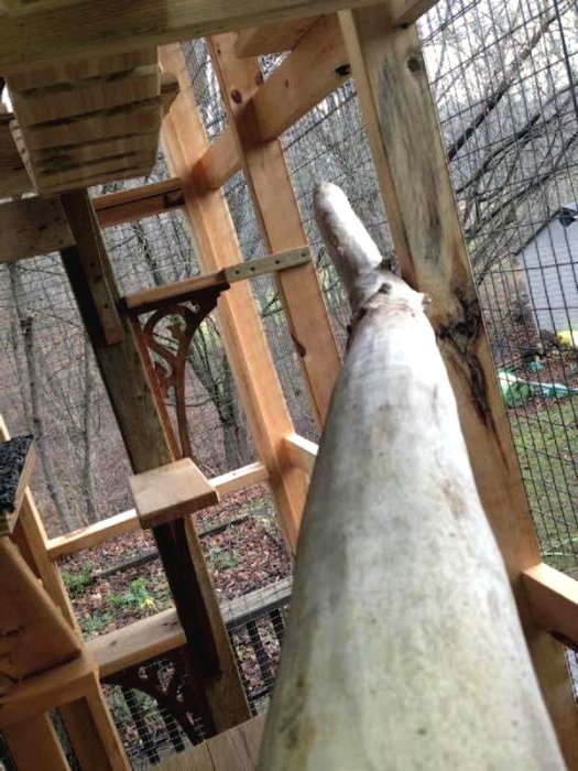 Дачный домик для кошки - фото 13