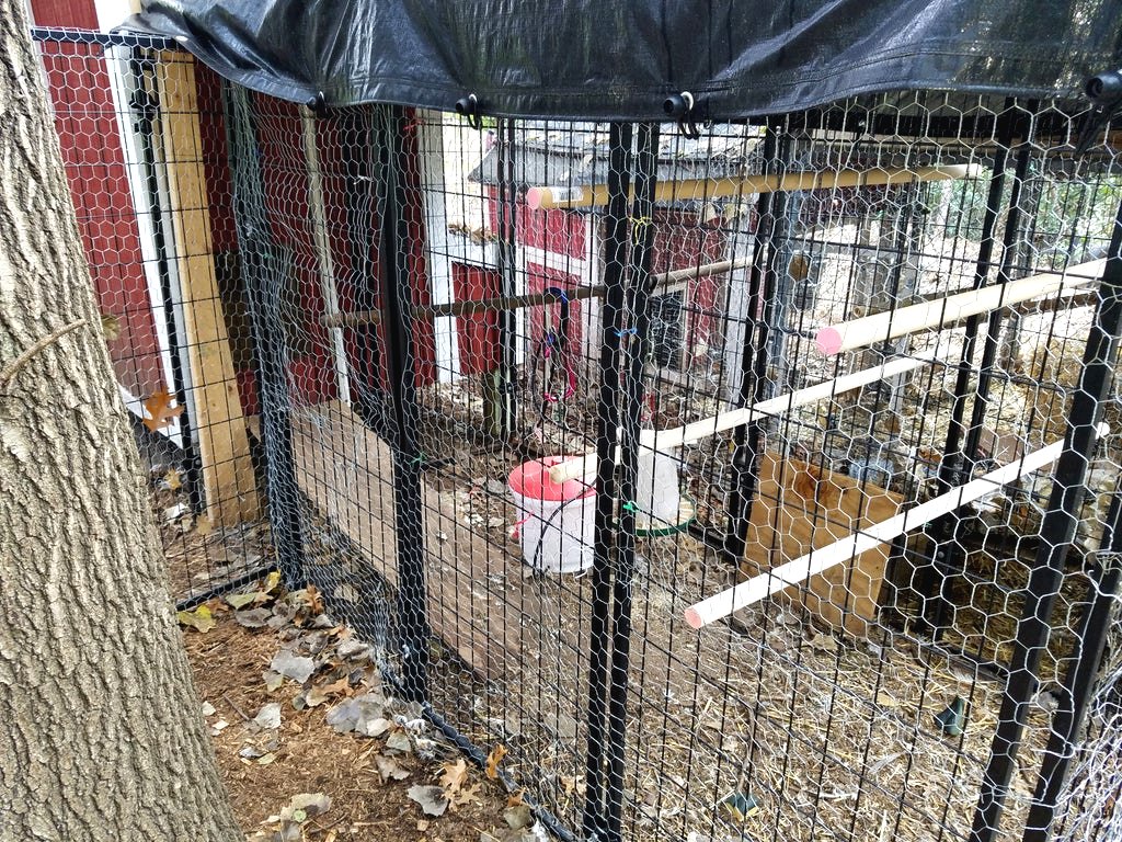 Как построить курятник своими руками? - фото 20