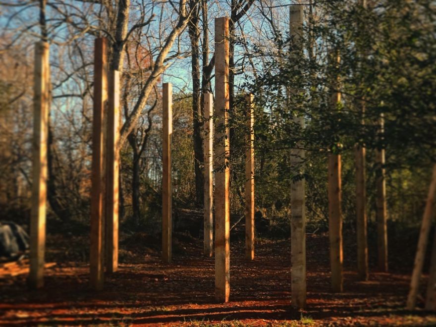 Удивительная оранжерея из старых окон - фото 6