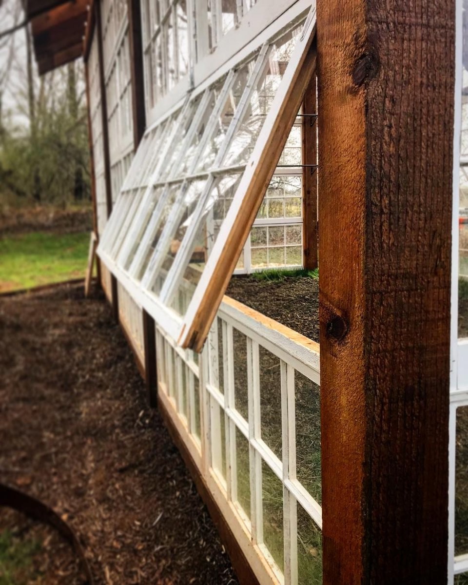 Удивительная оранжерея из старых окон - фото 29