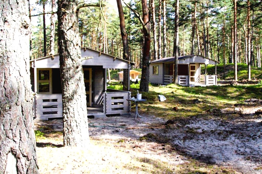 Садовый дом с террасой - фото 3