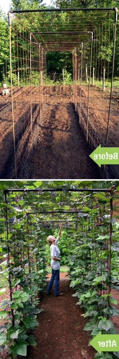 Решетка для бобов - фото 2