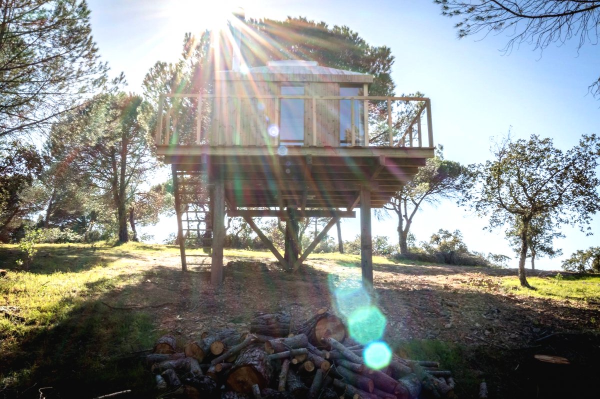 Домик на дереве своими руками - фото 21