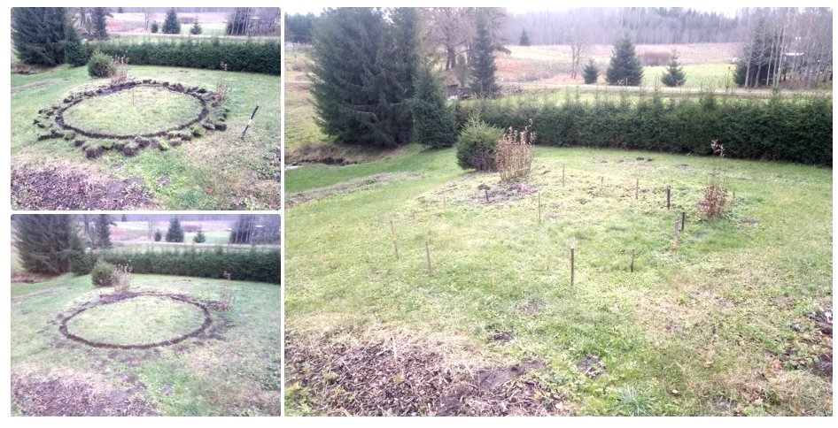 Круглая теплица: инновационное решение для Вашего сада! - фото 2