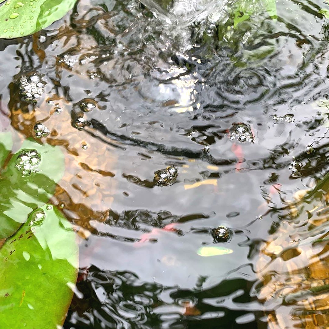 Мини пруд на даче своими руками - фото 10