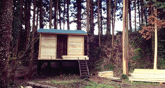 Хижина в лесу на деревянных столбах - фото 12