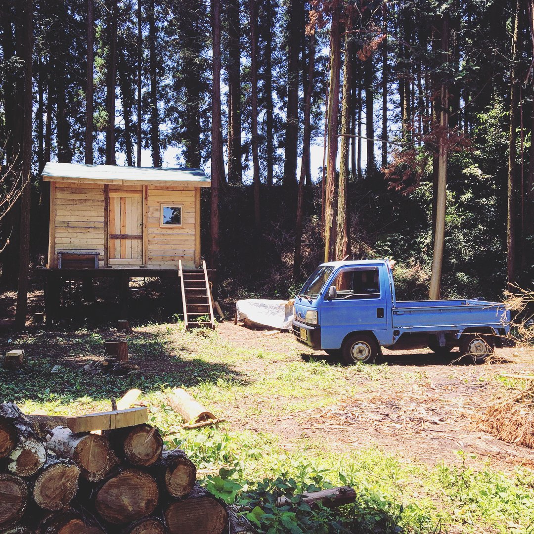 Хижина в лесу на деревянных столбах - фото 17