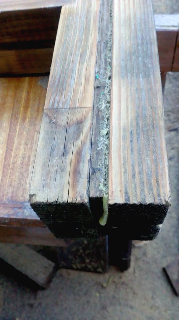 Пергола для роз - фото 3