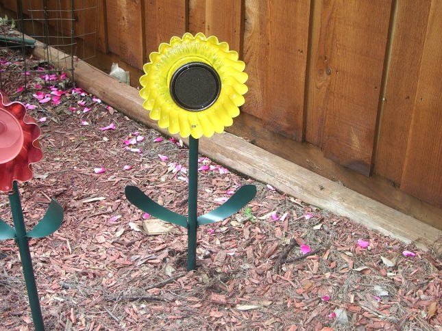 Цветы, которые не нуждаются в уходе - фото 4