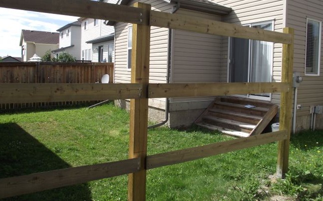 Вертикальный сад на заборе - фото 14