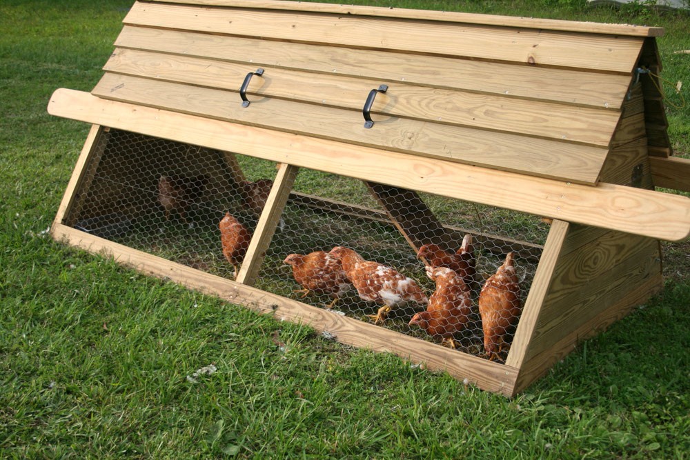 Портативный курятник - фото 2