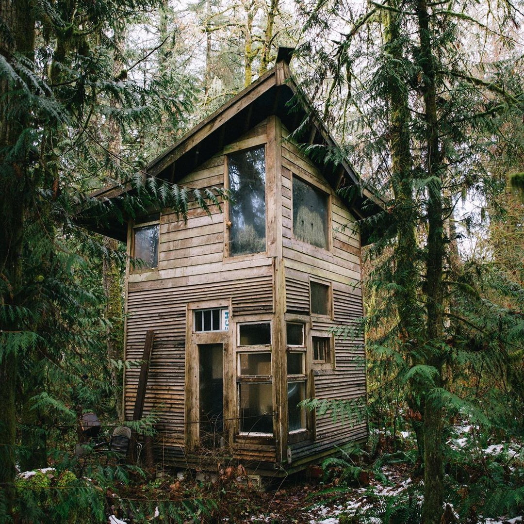 Дом с односкатной крышей - фото 5