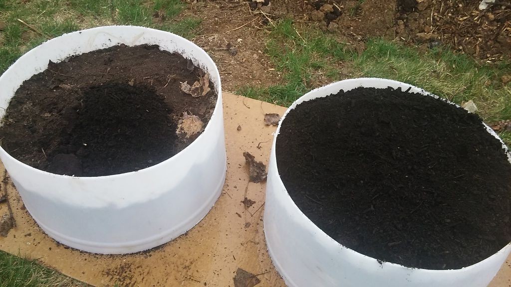 Грядки из пластиковой бочки - фото 2