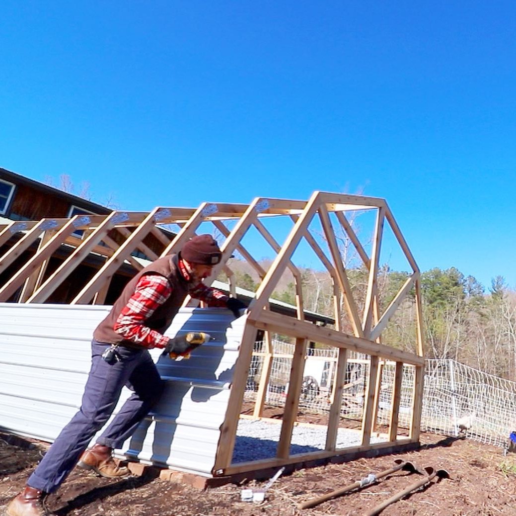 Теплица - фото 5