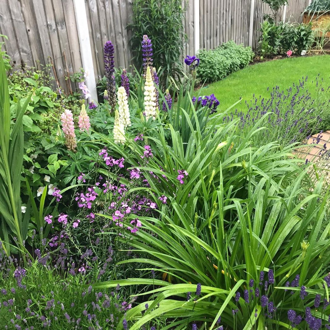 Очень маленький садовый двор - фото 5