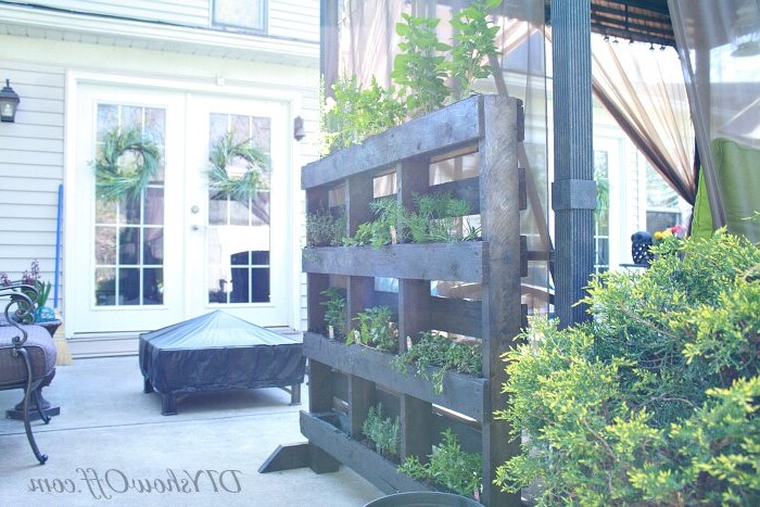 Передвижной вертикальный сад для трав из поддона - фото 9