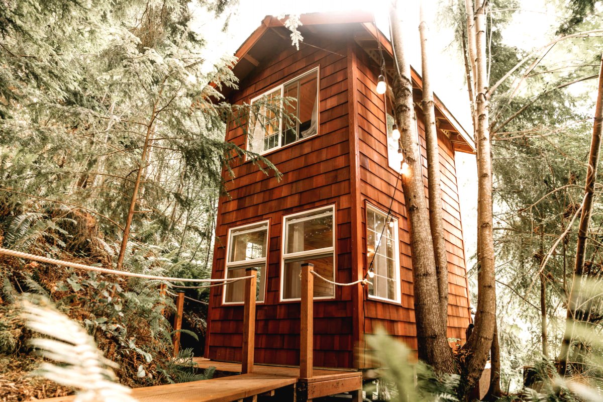 Домик на дереве - фото 9