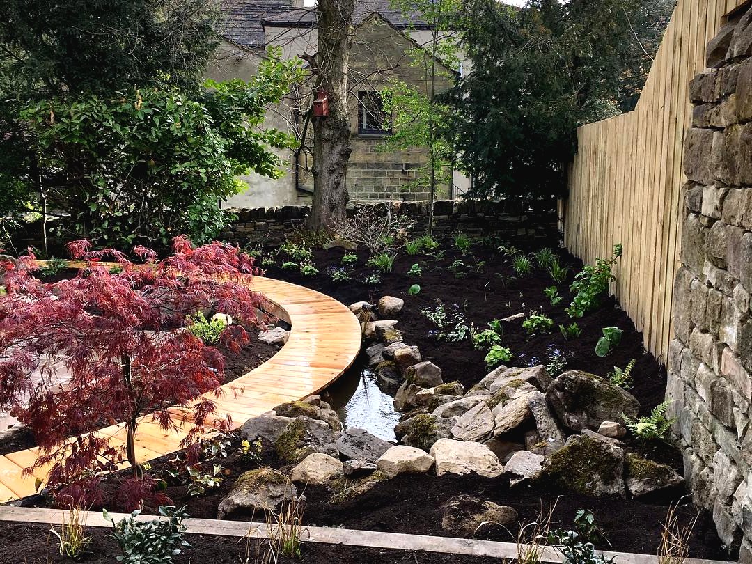 Трансформация садового участка по истечении восьми недель - фото 11