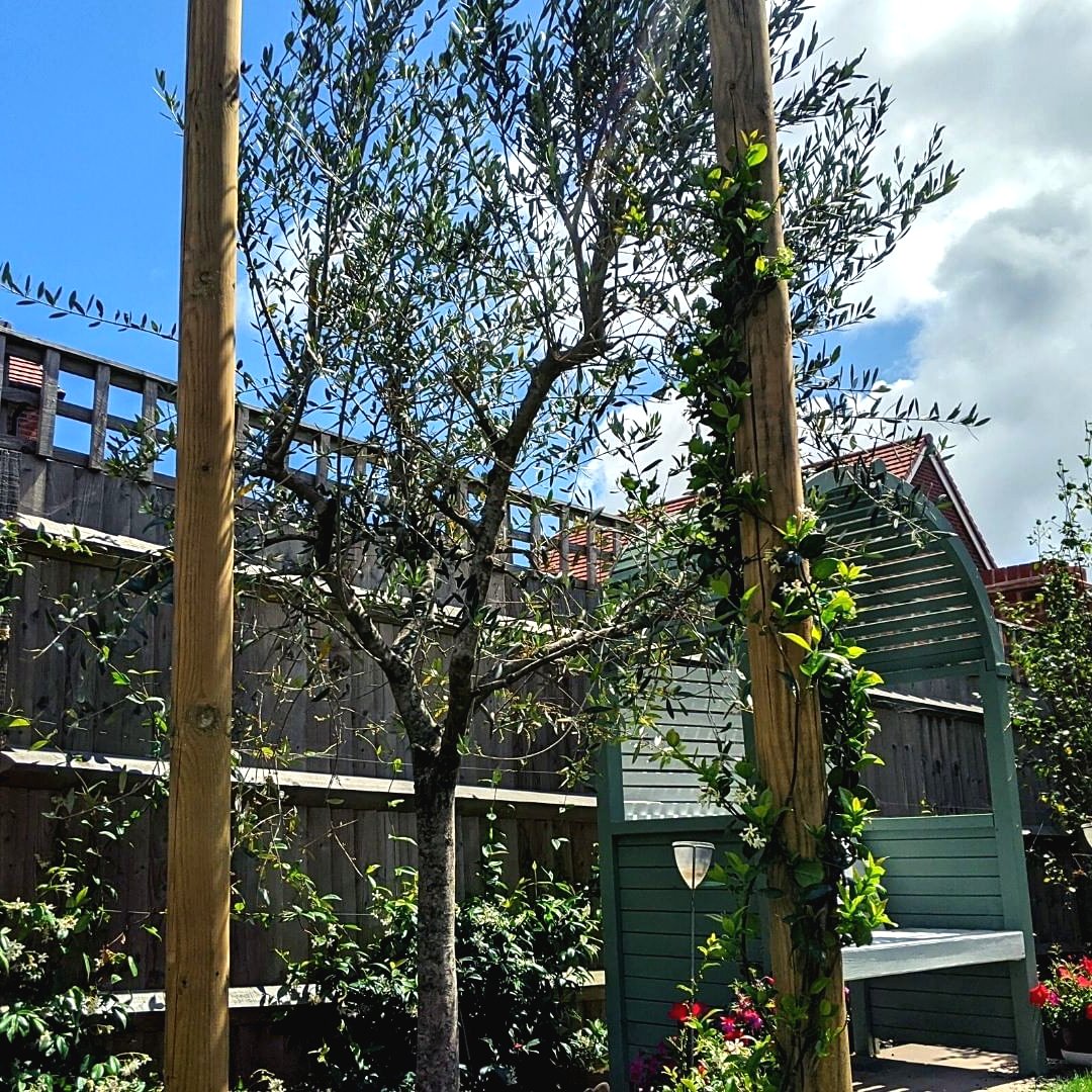 Ландшафтный дизайн дачного участка - фото 8