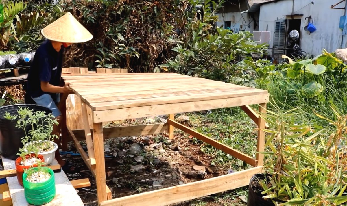 Необычный способ выращивания салата - фото 2