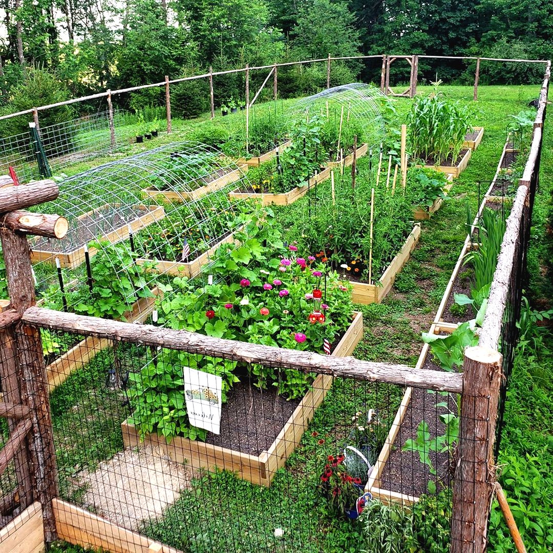 Пергола из стволов своими руками - фото 2