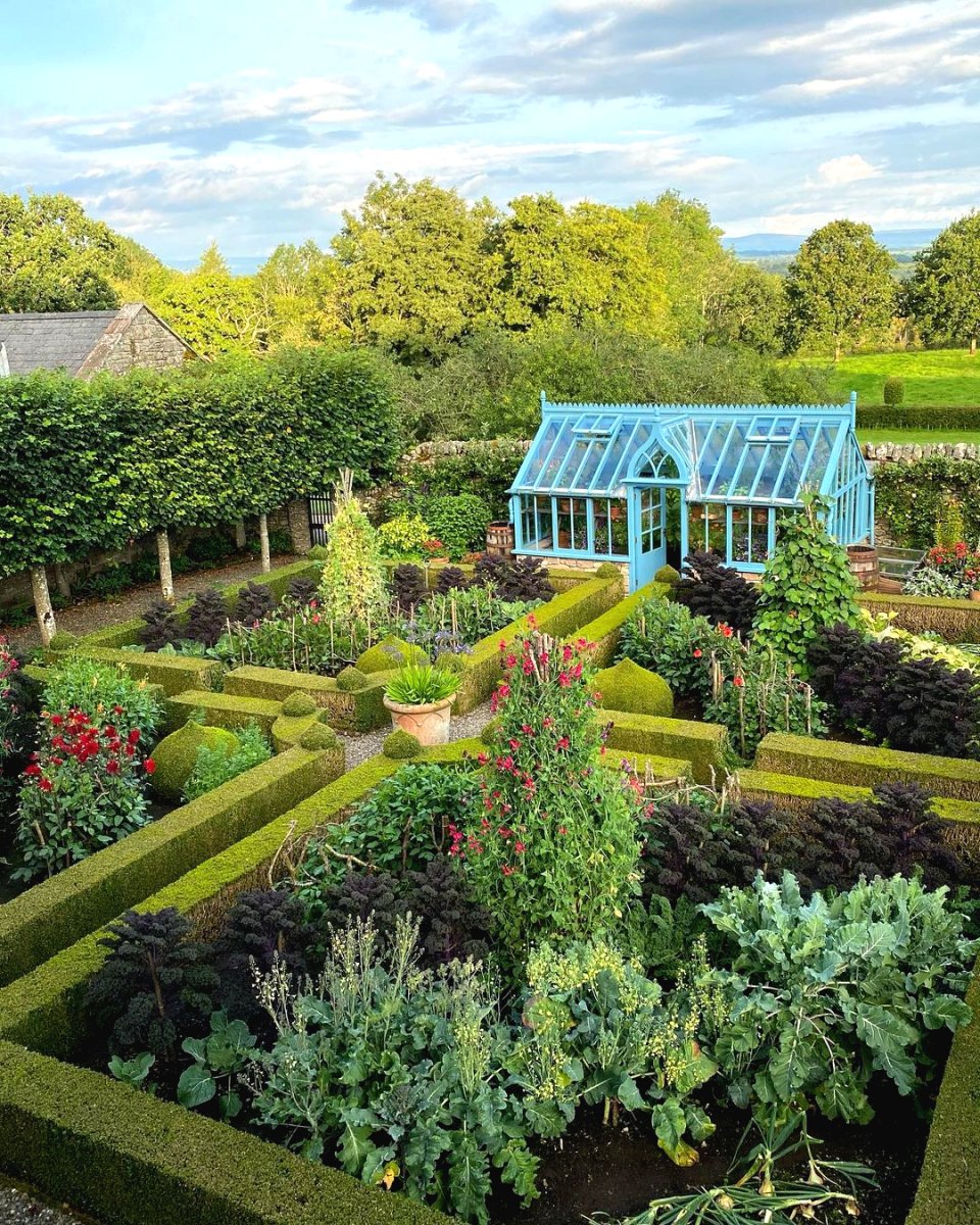 Топиарий в саду своими руками - фото 6