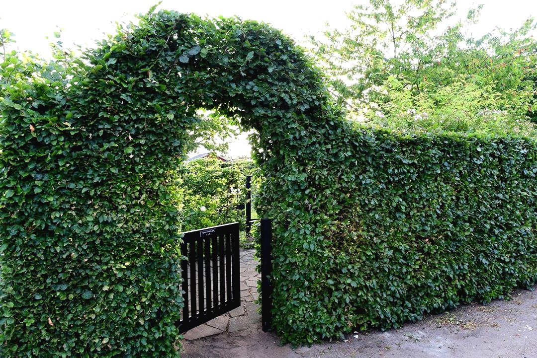 Ландшафтный дизайн небольшого сада - фото 6