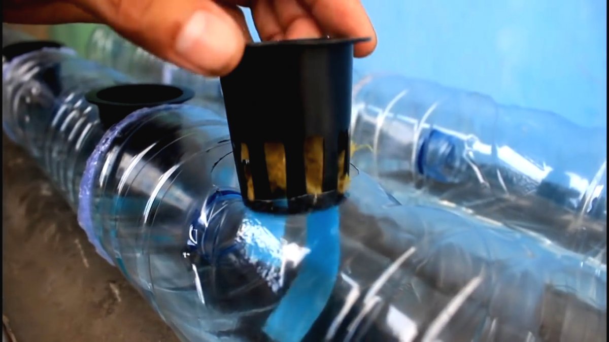 Гидропоника из пластиковых бутылок - фото 13