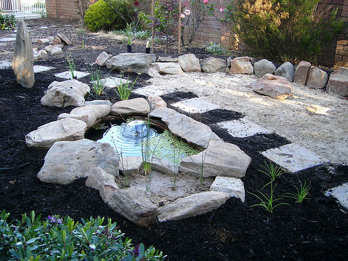 Садовый пруд - фото 7