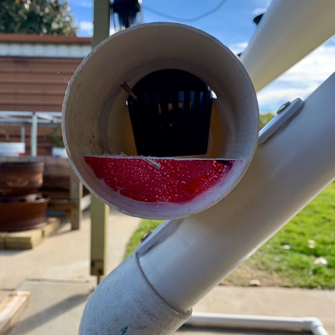 Гидропоника - фото 5