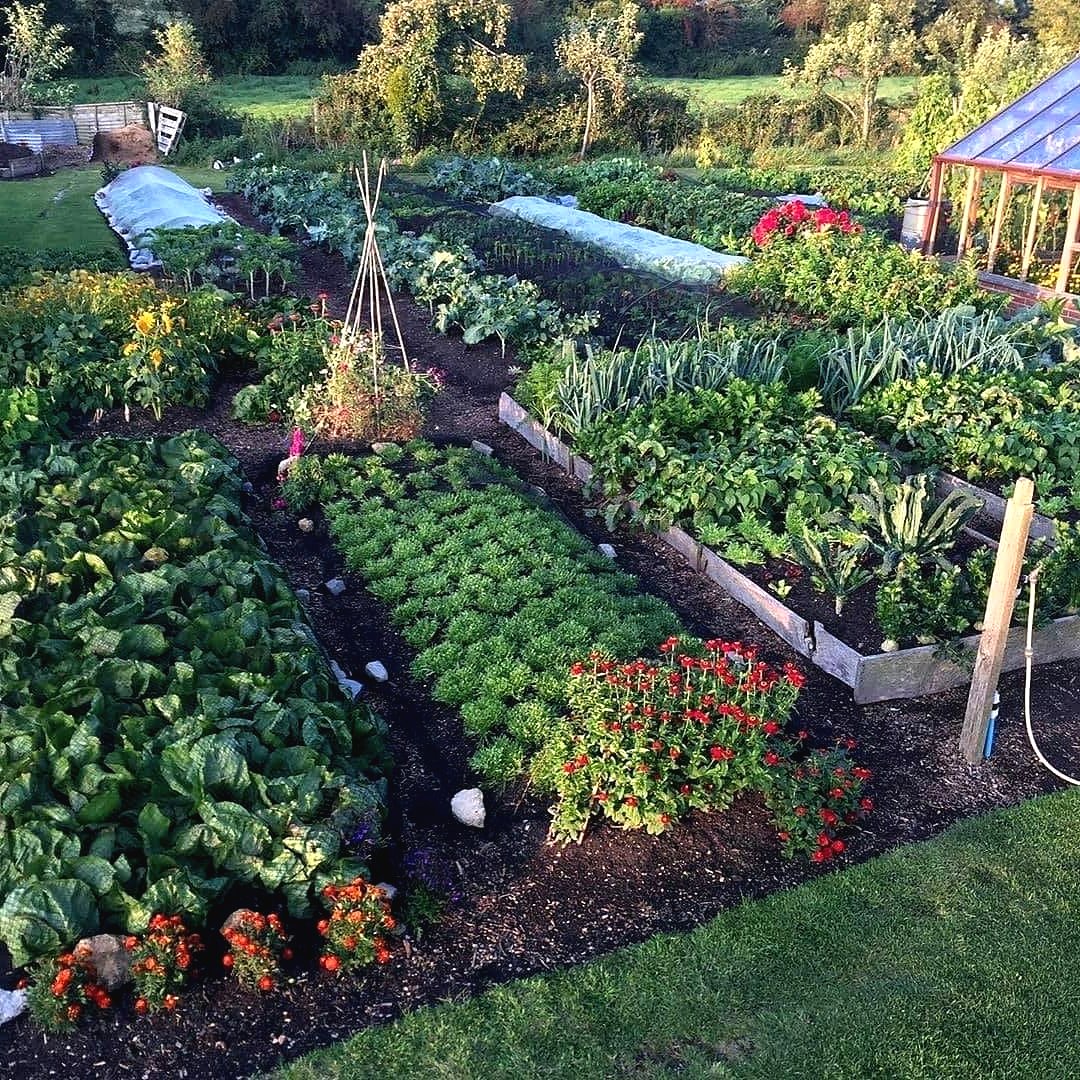 Грядки своими руками - фото 5