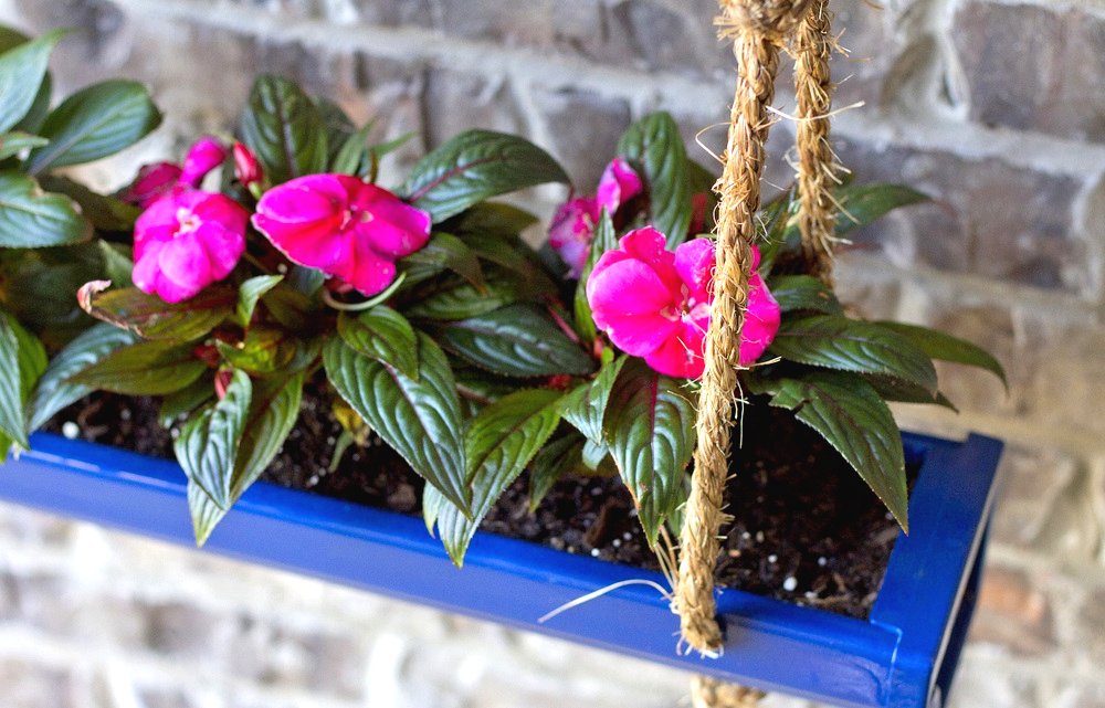 Оригинальные подвесные горшки из желоба - фото 5