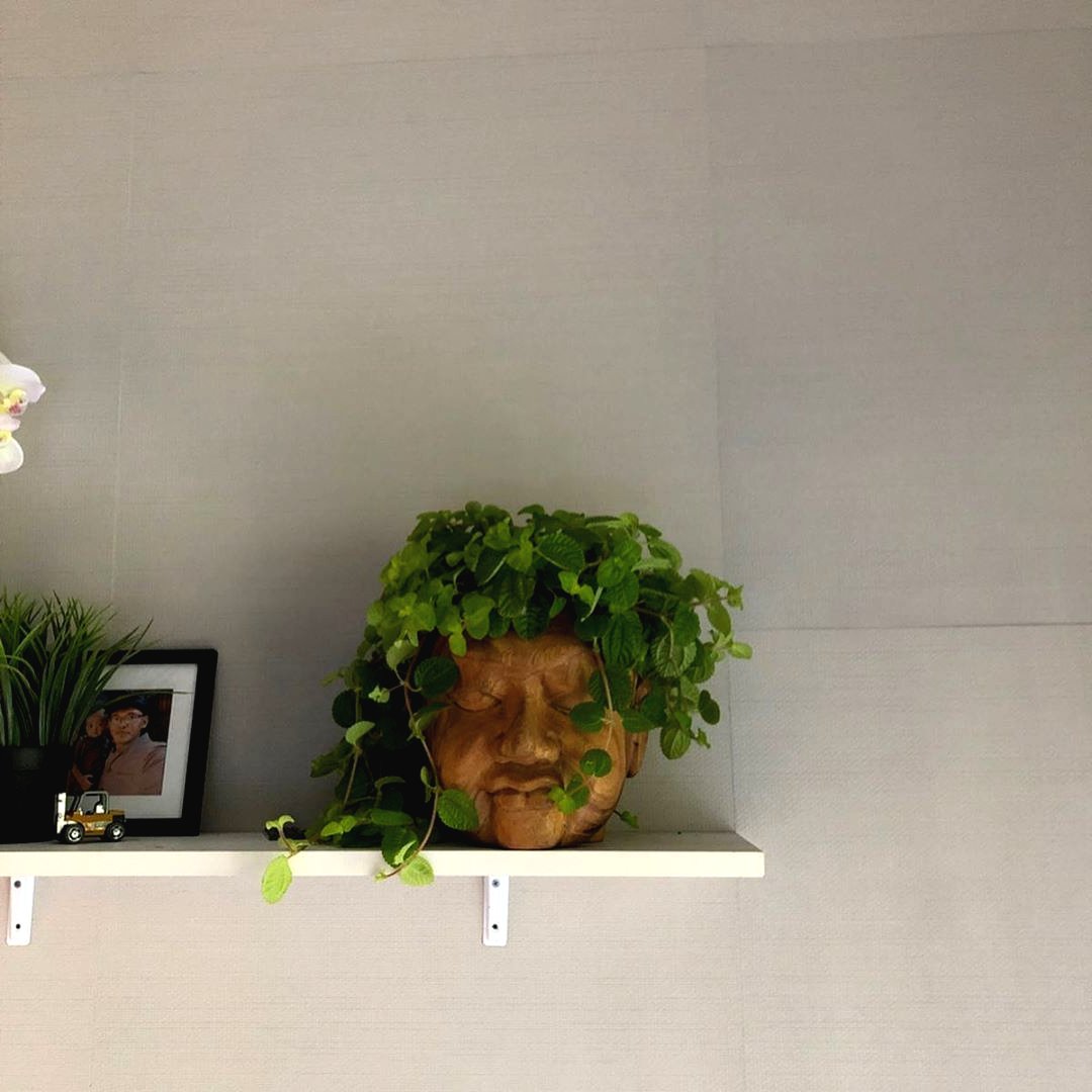 Оригинальный цветочный горшок - фото 2