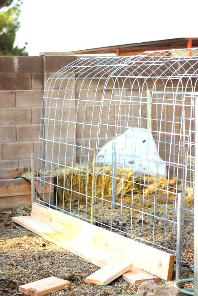 Грядка для огурцов или фасоли - фото 2