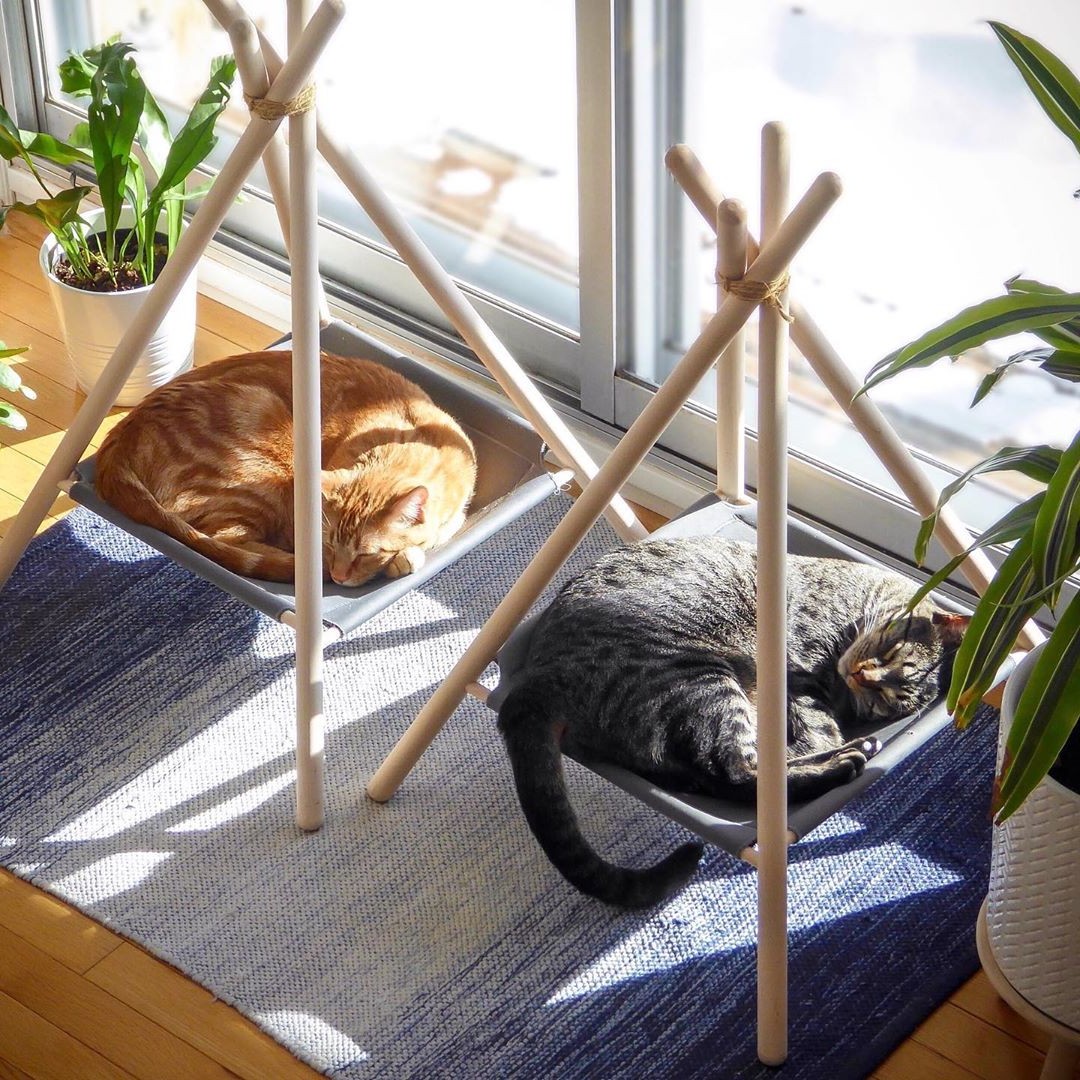 Кошачий дом - фото 3